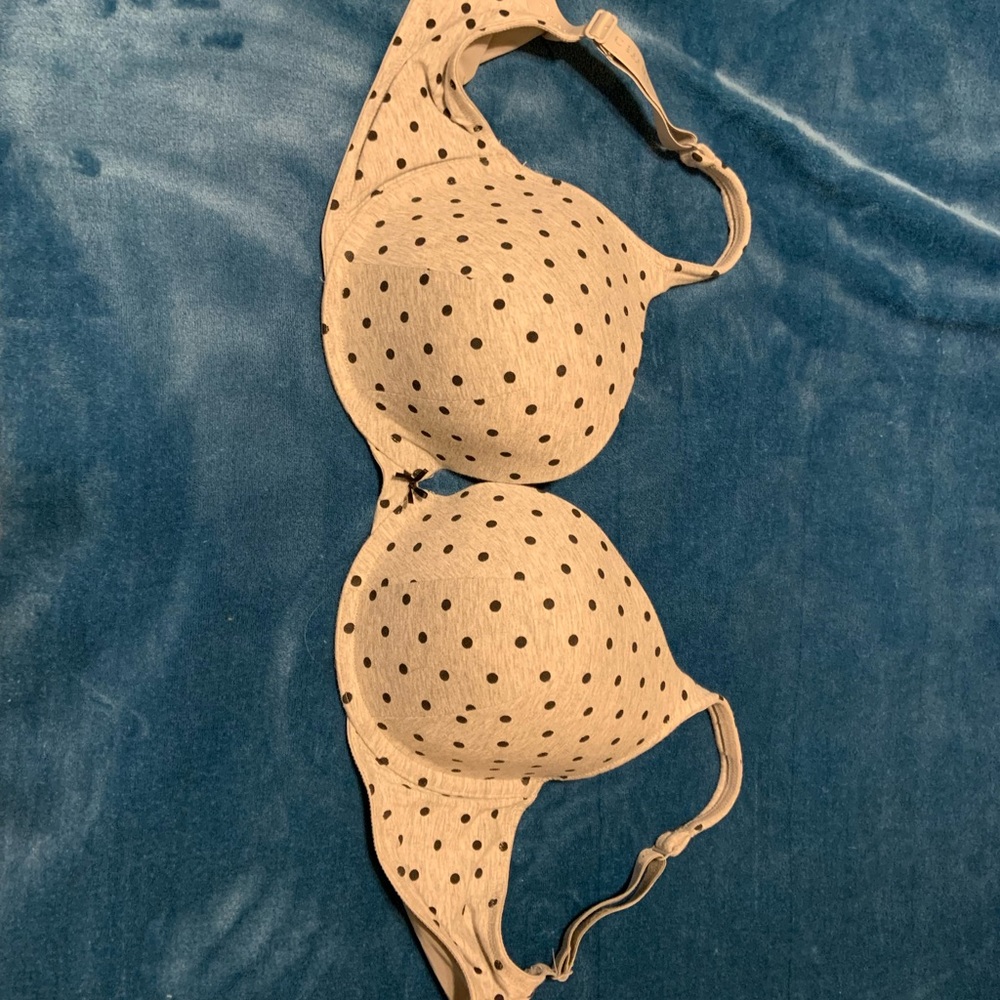 Lane Bryant Bra